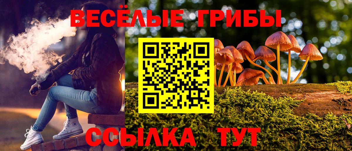Псилоцибиновые грибы MAGIC MUSHROOMS Костомукша